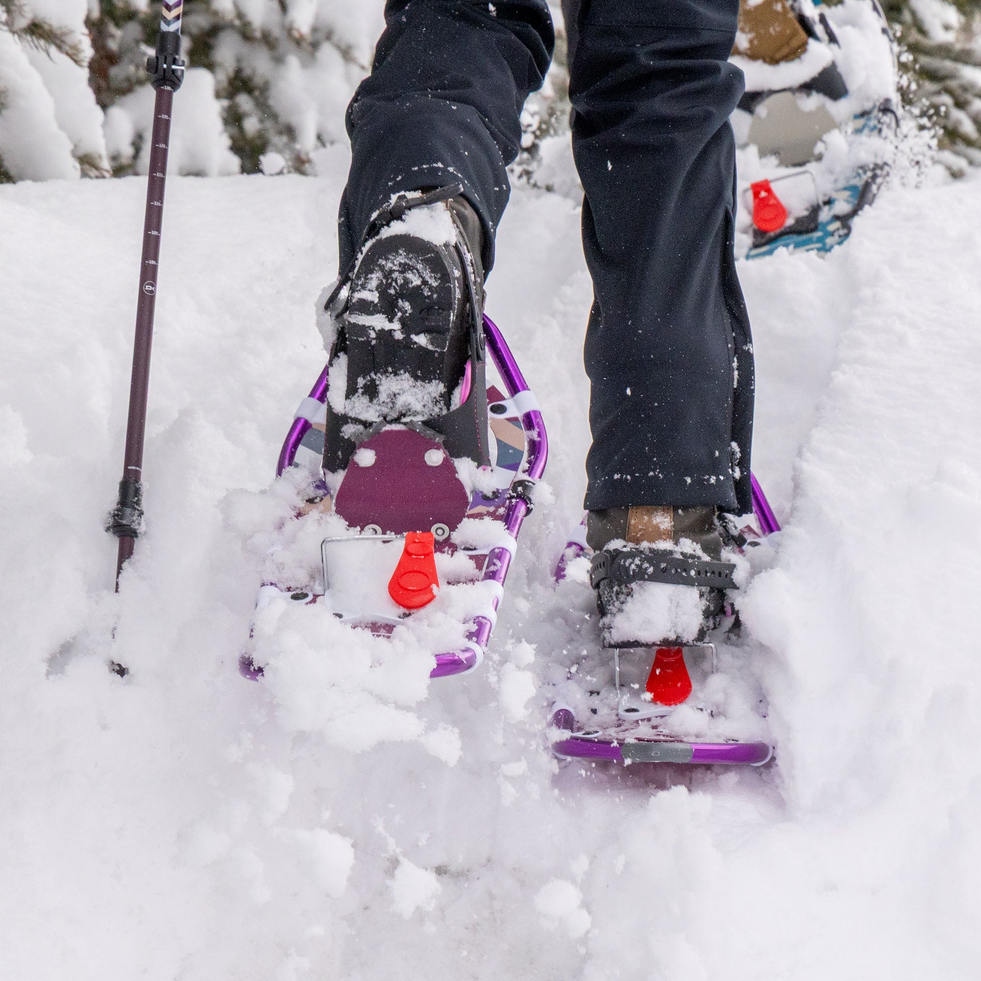 Lolo Pass Series Women's Snowshoe Kit - Dewberry