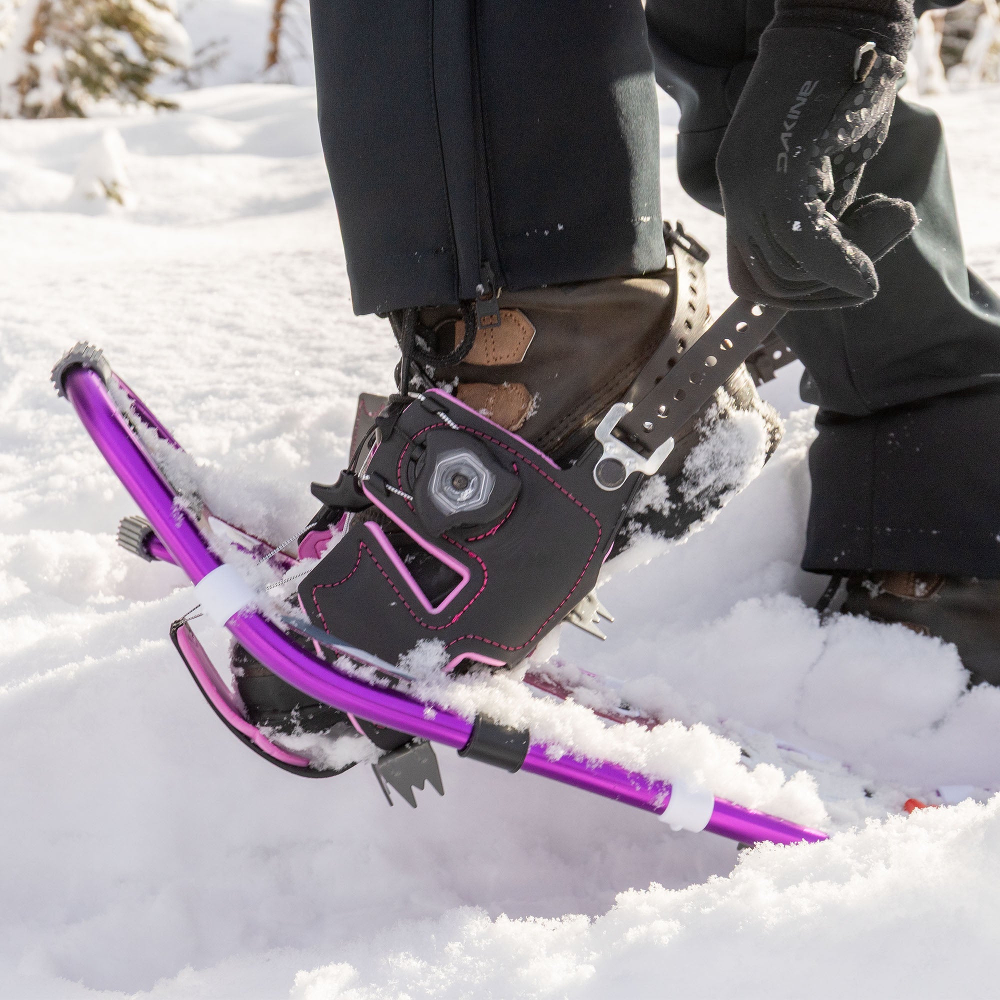 Lolo Pass Series Women's Snowshoe Kit - Dewberry