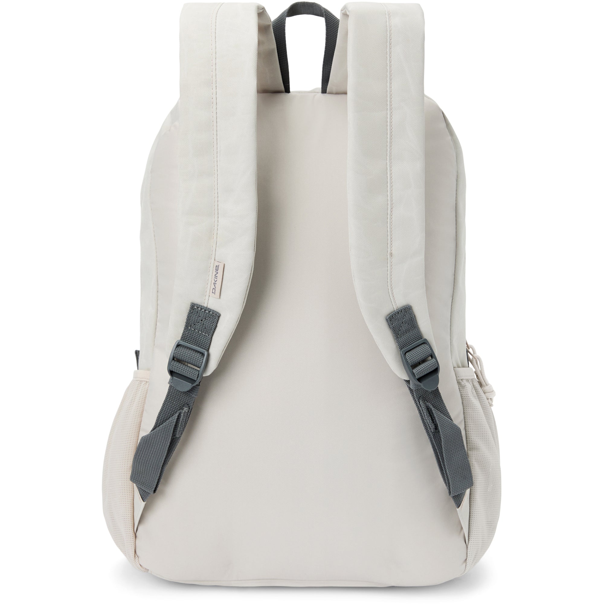 Educated Backpack 30L - Silver Lining